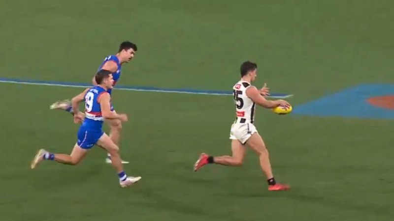 Daniel McStay scores fourth goal to keep Collingwood in wildcard final
