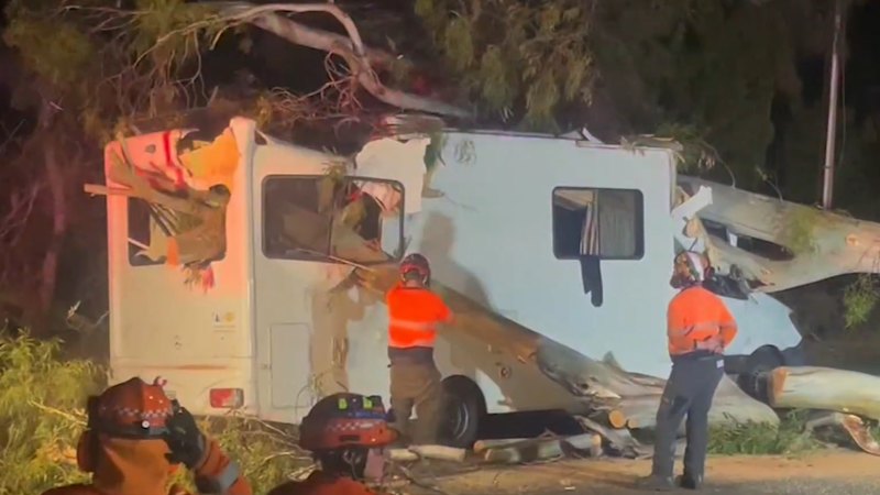 Man's lucky escape after trees crashes onto campervan