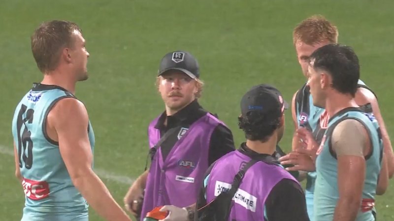 Power captain in murky waters after 'abusive language' report