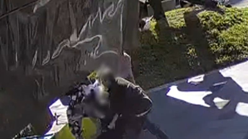 Good Samaritan dies in hospital after fight with youths