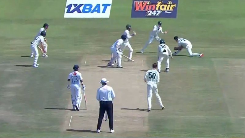 Webster takes superb reflex catch