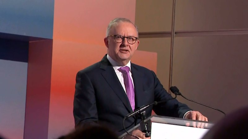 Prime Minister joins world leaders in AI crackdown