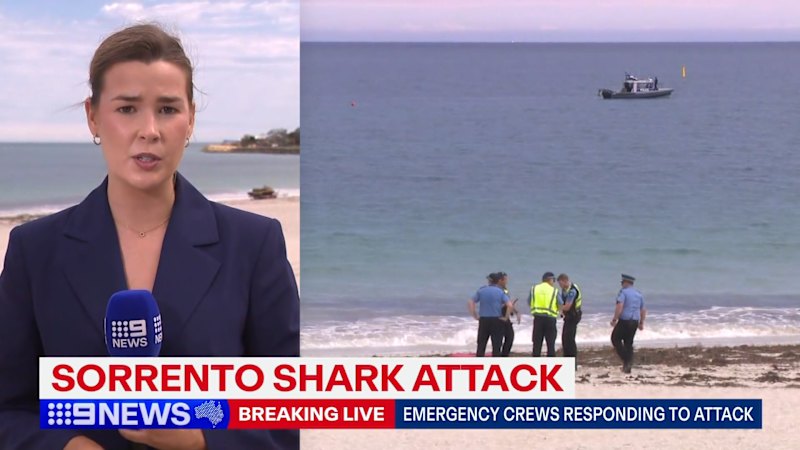 Man feared dead after suspected shark attack
