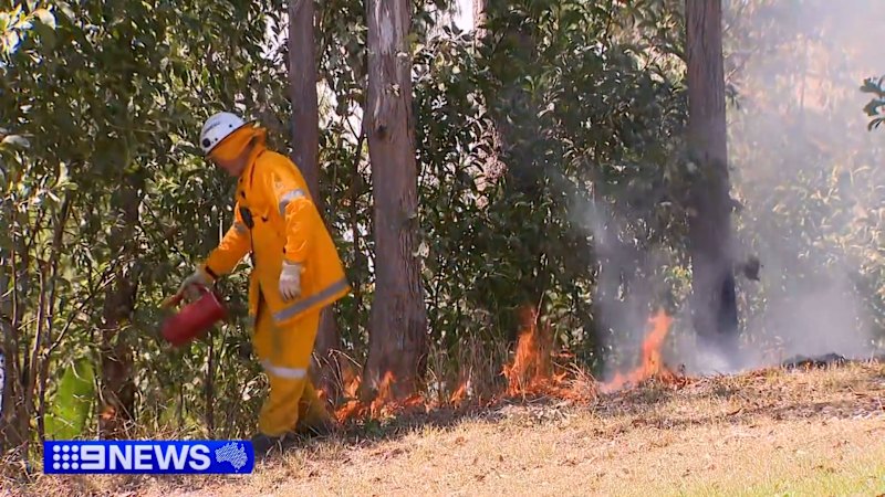 Firefighters battle to keep Gold Coast bushfire away from homes