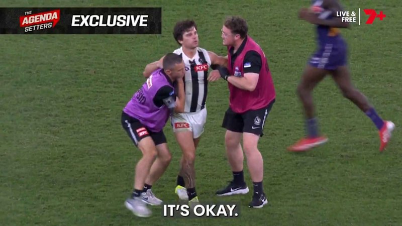 How the umpires handled Schultz concussion