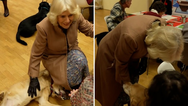 Queen Camilla reveals she has a new dog, named Moley