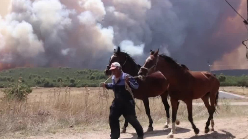 Orman yangınları Atina sakinlerini evlerinden zorluyor