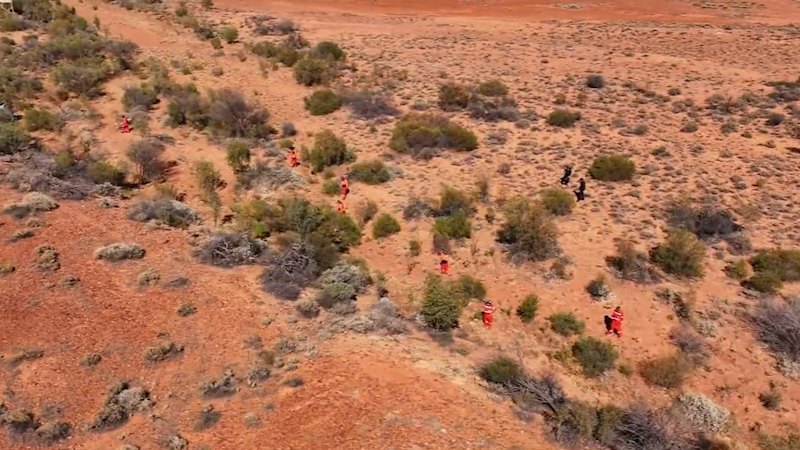 New police search for Gus Lamont