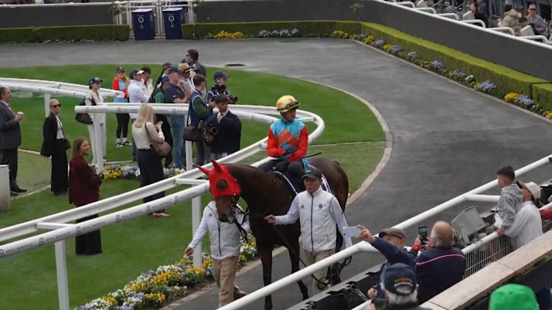 World's best horse draws big Randwick crowd