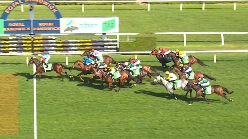 Hot favourite wins The Everest