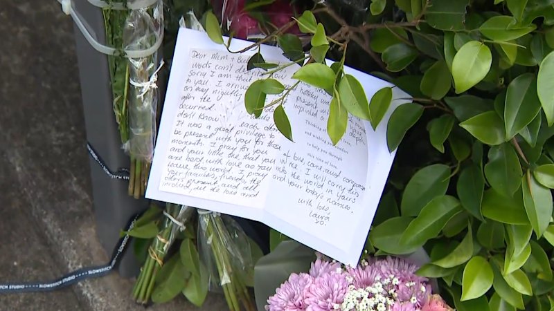 Speed probed in deadly crash that killed pregnant woman