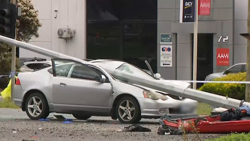 Woman killed after pole strikes car in highway crash