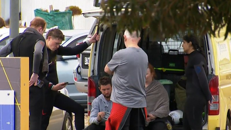 South Australian man fighting for life after shark attack