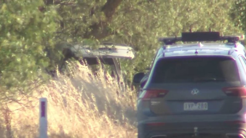 Four killed in horror bush crash in Victoria
