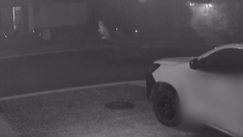 Man stabbed during fight in Logan