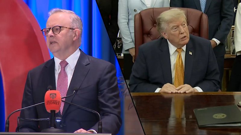 Albanese and Trump hold phone call
