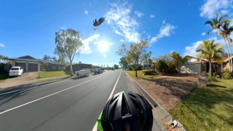 Gold Coast cyclist’s swooping terror