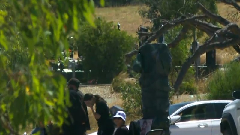 Grave of gangland figure vandalised