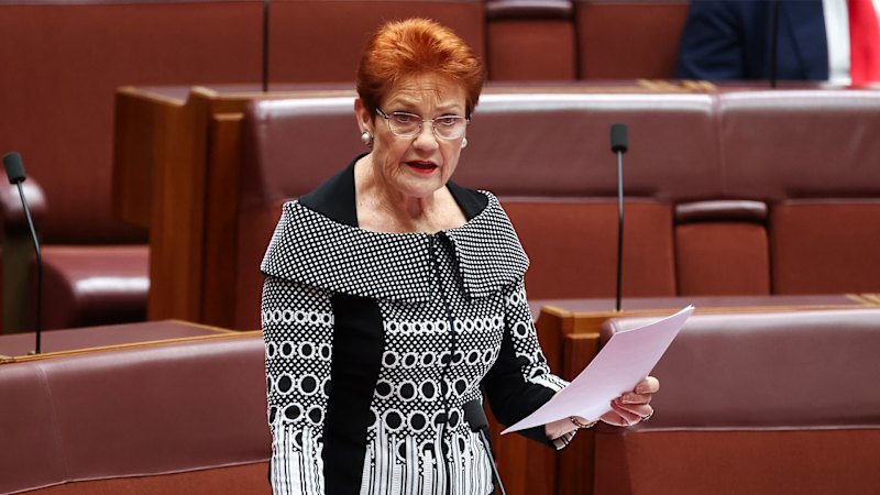One Nation leader says Socceroos represent her idea of 'monocultural' Australia