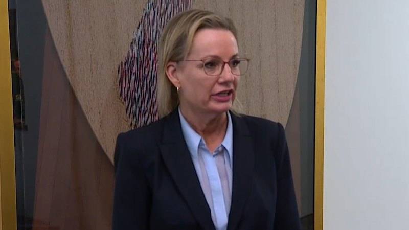 Liberal Party showdown for net zero target