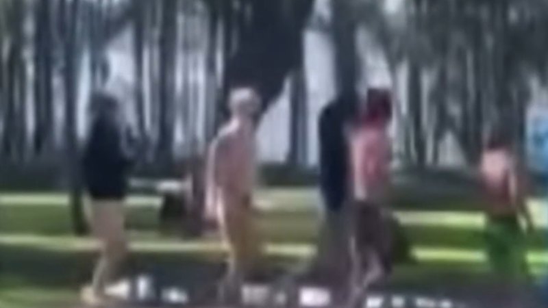 Footage shows brawl at caravan park on NSW Central Coast