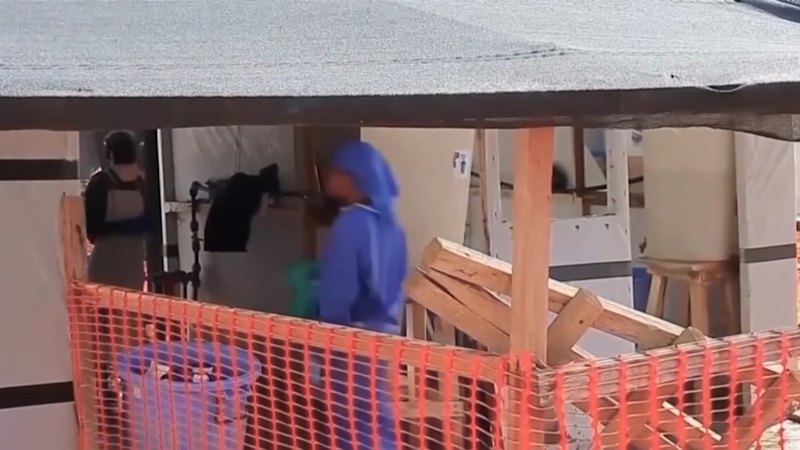 Why Every Global Health Agency is Failing the Ebola Fight