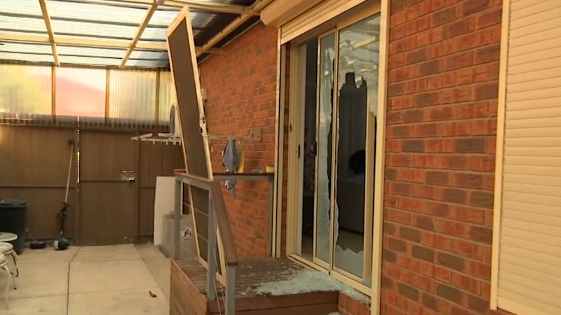 'I wish they killed me': Mother left traumatised after violent home invasion