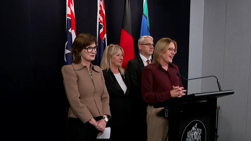 Three Victorian Labor MPs announce resignation from politics