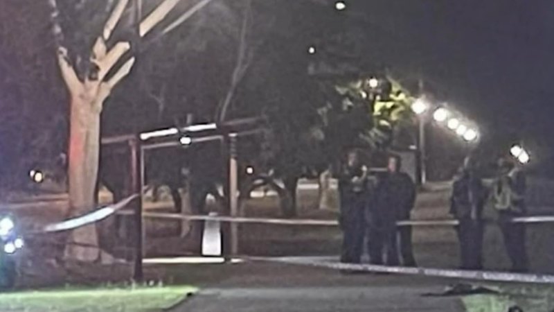 Man killed in e-scooter crash with skateboarder
