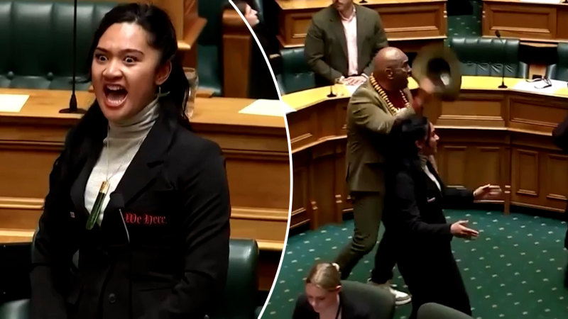 Haka interrupts New Zealand parliament