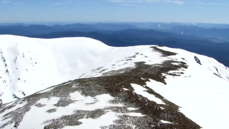 Video: Hikers Found Dead in Victoria Still Unidentified