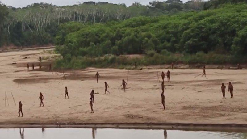 Uncontacted tribe sighted in remote Amazon region