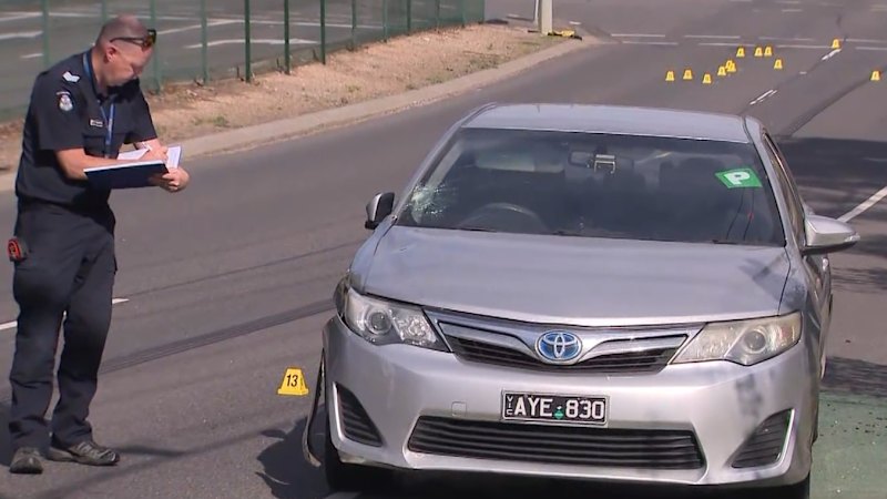 Pedestrian fighting for life after car runs red light