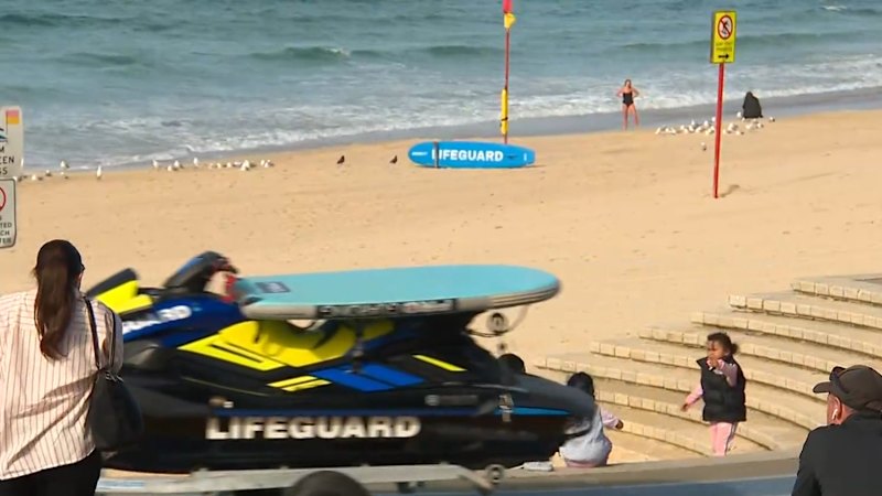 Mother and Teacher Critically Injured in Sydney Shark Attack