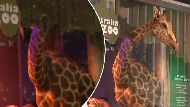 Giraffe head attached to Myer’s annual Christmas windows vandalised