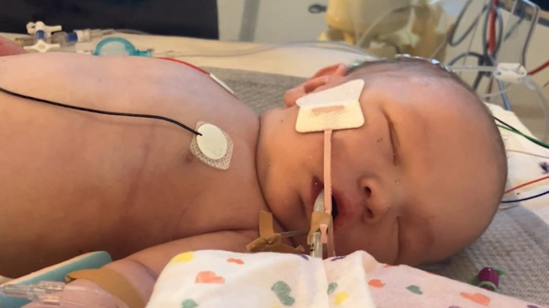 Parents of baby who died at maternity hospital demand answers