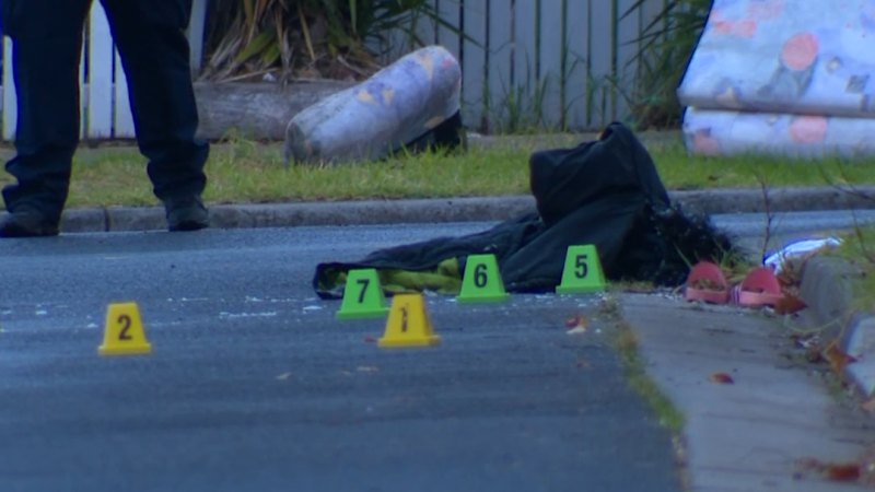 Woman fighting for life after Melbourne hit and run