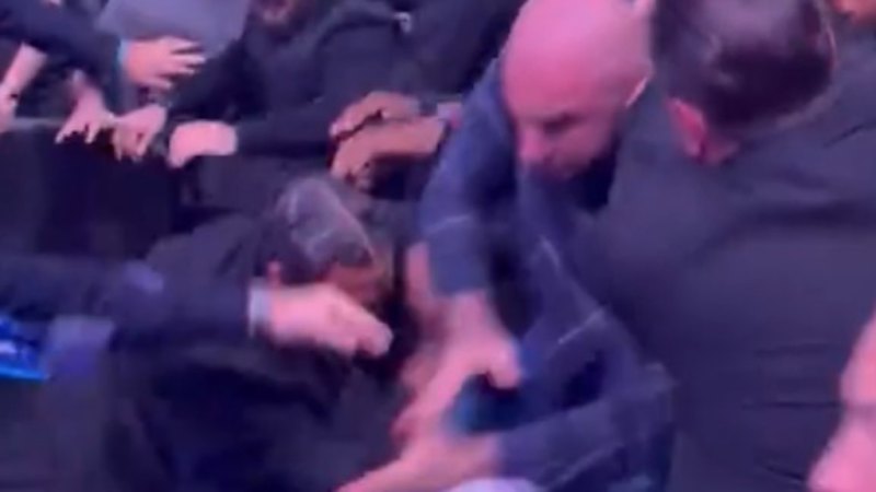 Dillon Danis involved in wild crowd brawl