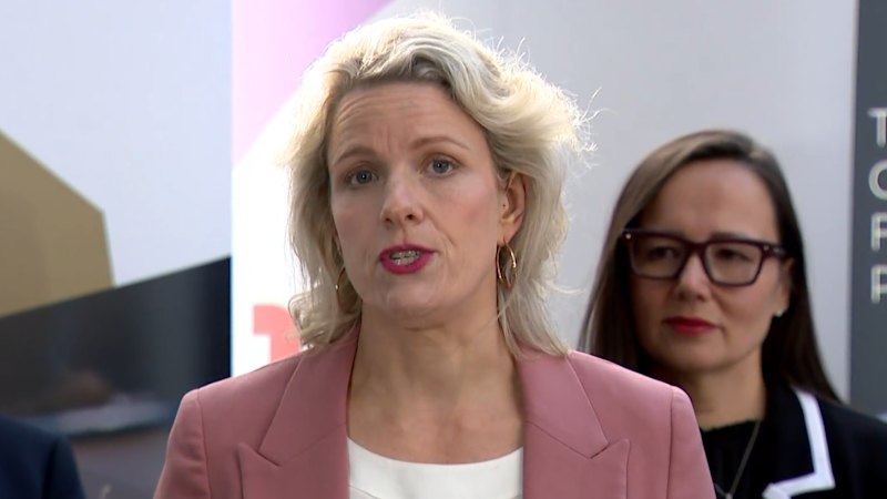 Housing minister commits to thousands more affordable homes