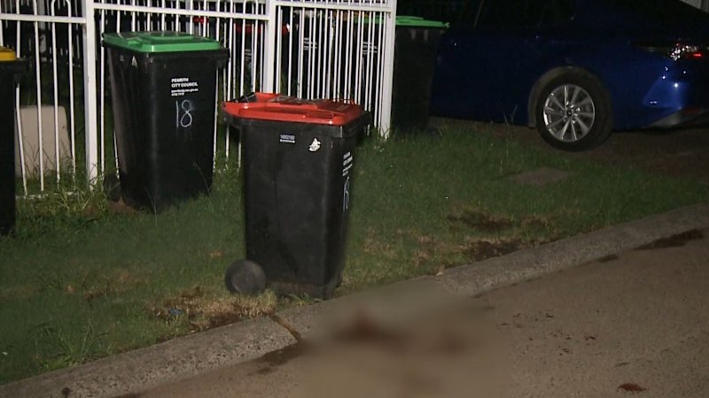 Hunt for gang behind violent assaults in Sydney