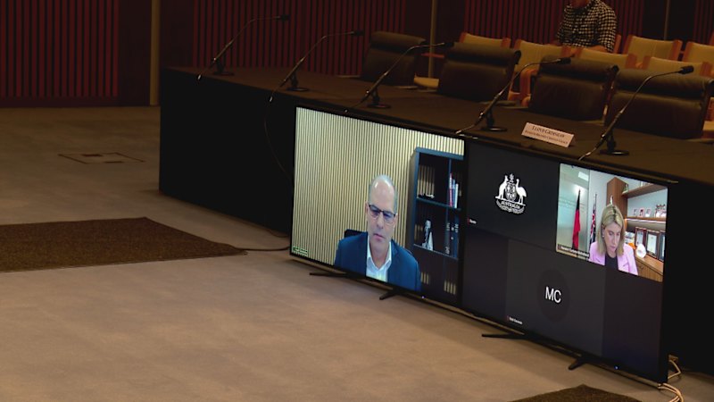 Australian dual citizen charged with foreign interference linked to Ukraine-Russia intelligence