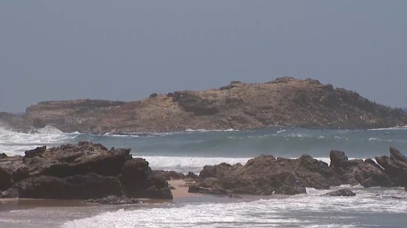 Tributes laid on a NSW beach after Swiss tourist killed in shark attack