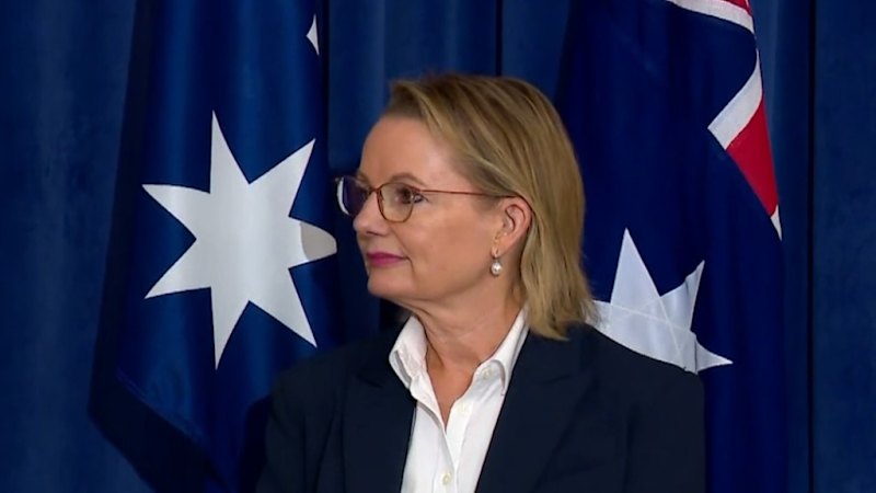 Sussan Ley's leadership of Liberal Party in doubt