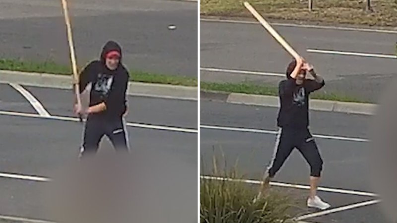Police hunting two men over assault and attempted theft of dog in Victoria