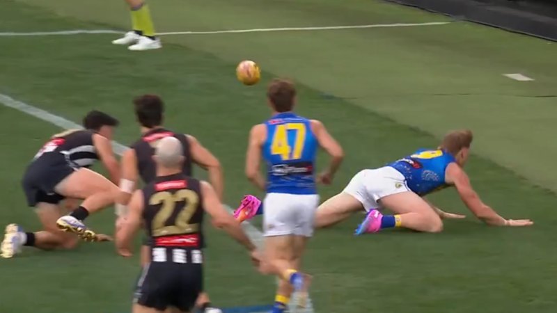Pendlebury and Reid go at it in milestone game