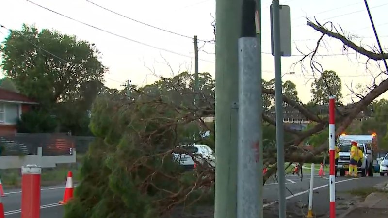 Po hudem neurju v Sydneyju več kot 53.000 gospodinjstev brez elektrike