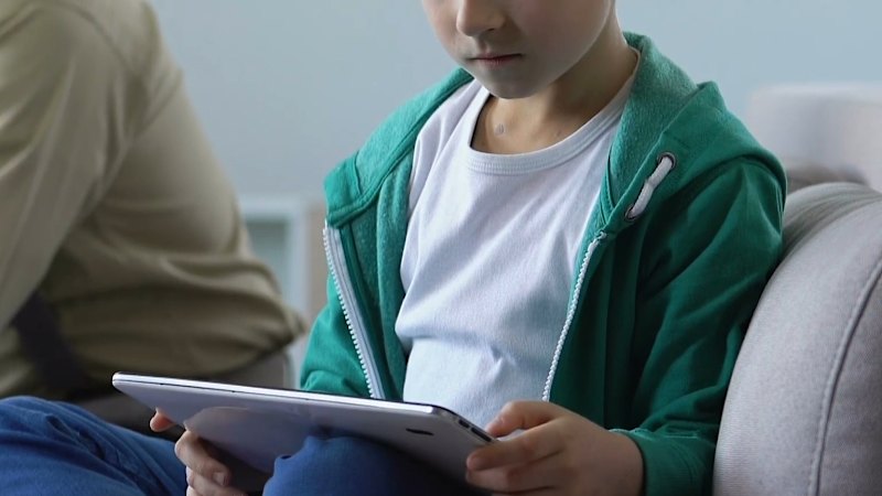 eSafety commissioner admits hesitancy about social media ban