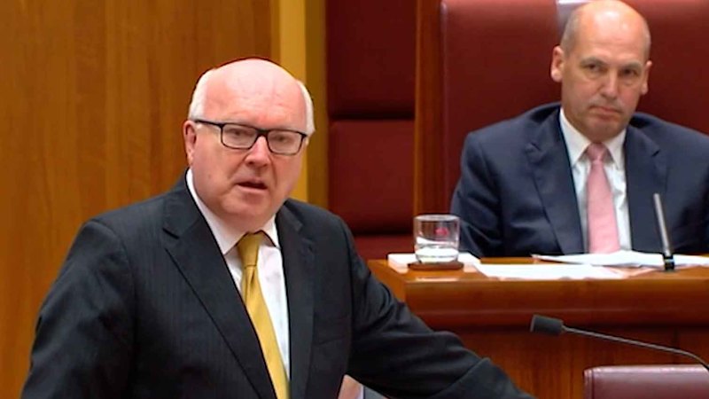 Brandis v avstralskem parlamentu obsodil islamofobijo po Hansonovi burki