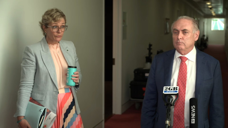 Zali Steggall hijacks Don Farrell’s press conference