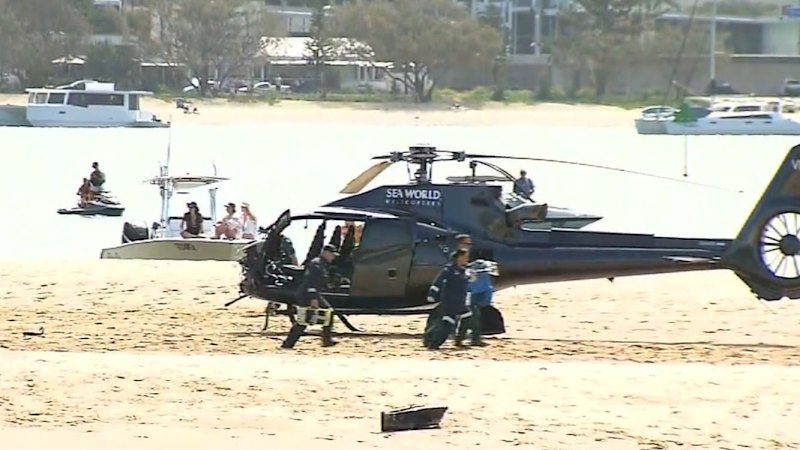 Boss blames pilot distraction before Sea World helicopter tragedy